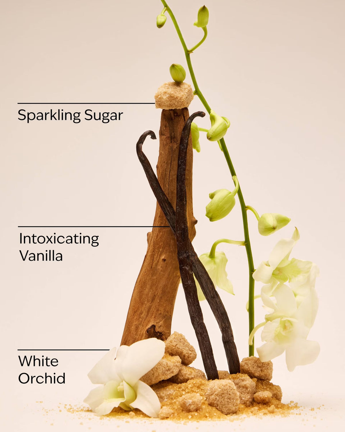 Warm Vanilla Sugar Moisturiser