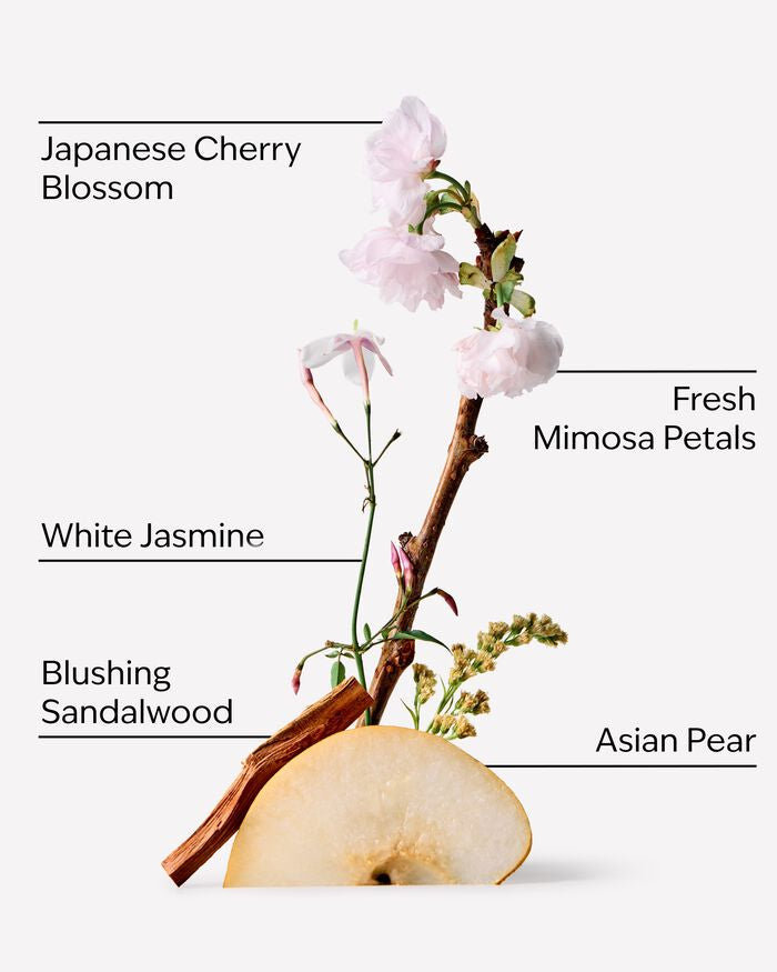 Japanese Cherry Blossom Single Wick Candle